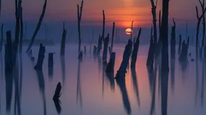 Blue Water Waves On White Sandy Beach Wallpaper