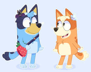 Blueyand Bingo Cartoon Siblings Wallpaper