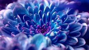 Bluish Purple Flower 4d Ultra Hd Wallpaper