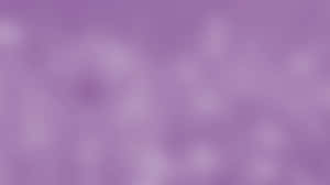 Blurry Lavender Purple Wallpaper