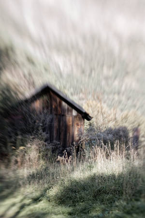 Blurry Rustic Fall Cabin Wallpaper