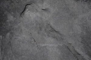 Blurry Shades Of Gray Wallpaper