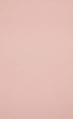 Blush Pink Smooth Texture Background Wallpaper