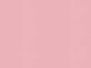 Blush Pink Solid Background Wallpaper