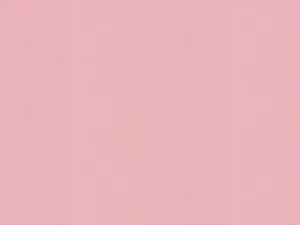 Blush Pink Solid Background Wallpaper