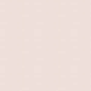 Blush Pink Solid Background Wallpaper