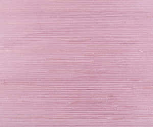 Blush Pink Textured Background Wallpaper