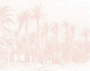 Blush Toned Palm Grove Wallpaper