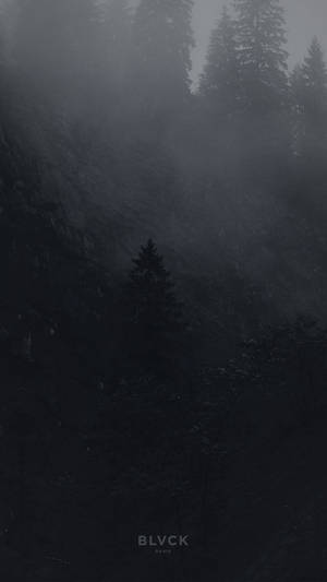 Blvck Paris Foggy Forest Wallpaper