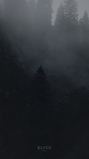 Blvck Paris Foggy Forest Wallpaper