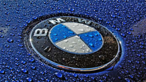 Bmw Logo Against Night Sky Wallpaper