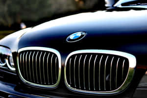 Bmw Logo Wallpaper