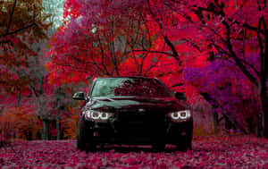 Bmw X5 Hd Wallpapers, Bmw X5 Wallpapers, Bmw X5 Wallpapers, Bmw X5 Wallpaper