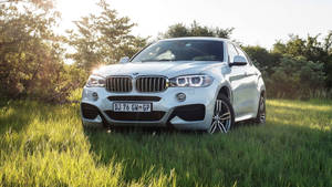 Bmw X6 M At A Green Field Wallpaper