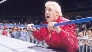 Bobby Heenan Ringside Reaction Wallpaper