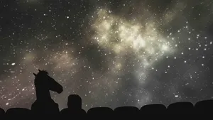 Bojack Horseman And Sarah Lynn Take A Break To Star Gaze Wallpaper