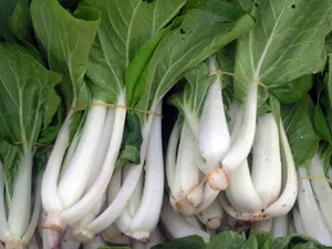 Bok Choy Cabbages Pile Macro Shot Wallpaper