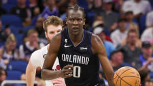 Bol Bol Orlando Magic Action Wallpaper