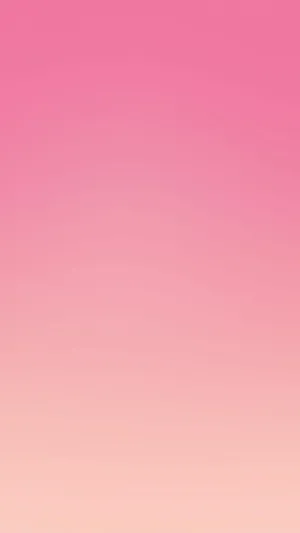 Bold And Beautiful Pink Wallpaper