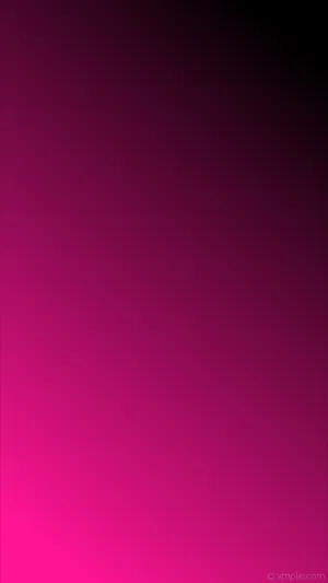 Bold Color Combination – Pink And Black Wallpaper