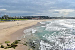 Bondi Beach Aerial View Wallpaper