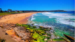 Bondi Beach Sunny Day Aerial View Wallpaper