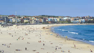 Bondi Beach Sunny Day Crowd Wallpaper