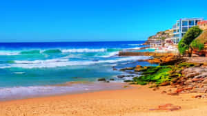 Bondi Beach Sunny Day Wallpaper