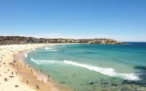 Bondi Beach Sunny Day Wallpaper