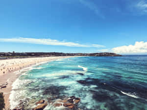 Bondi_ Beach_ Sunny_ Day_ View.jpg Wallpaper