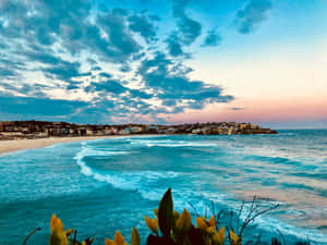 Bondi Beach Sunset View Wallpaper