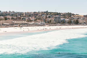 Bondi Beach Sydney Australia Sunny Day Wallpaper