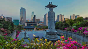 Bongeunsa Temple Contrast Seoul Wallpaper