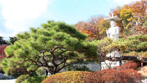 Bongeunsa_ Temple_ Giant_ Buddha_ Statue_ Autumn Wallpaper