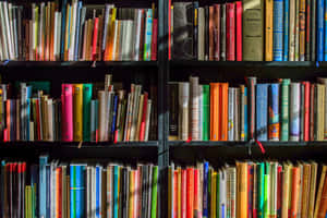 Book Collection Of An Educated Person Wallpaper