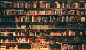 Bookshelf_ Bounty.jpg Wallpaper