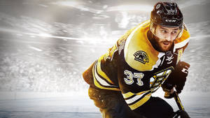 Boston Bruins Patrice Bergeron Wallpaper