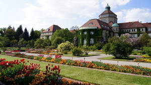 Botanical Garden In Munich Wallpaper