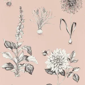 Botanical Sketches Blush Background Wallpaper