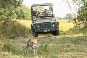 Botswana Safari Tourists Wallpaper