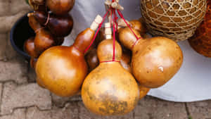Bottle Gourd Uses Wallpaper