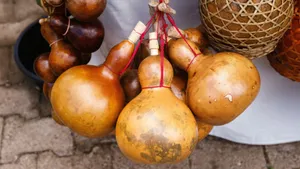 Bottle Gourd Uses Wallpaper