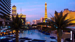 Boulevard Pool Las Vegas Desktop Wallpaper