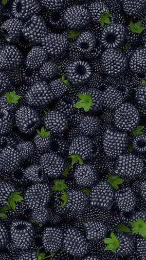 Bountiful Harvest Boysenberry Wallpaper