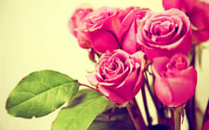 Bouquetof Pink Roses Wallpaper