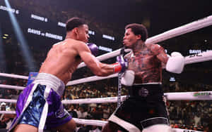 Boxer Gervonta Davis In The Red Corner Wallpaper