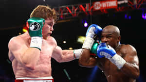 Boxing Superstar Canelo Alvarez Wallpaper