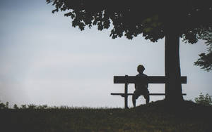 Boy Alone Under The Tree Wallpaper