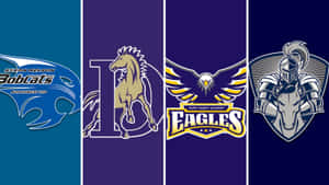 Boys' Basketball Top Cumulative Stats Wallpaper