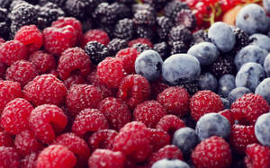 Boysenberry Multi-colored Berries Wallpaper